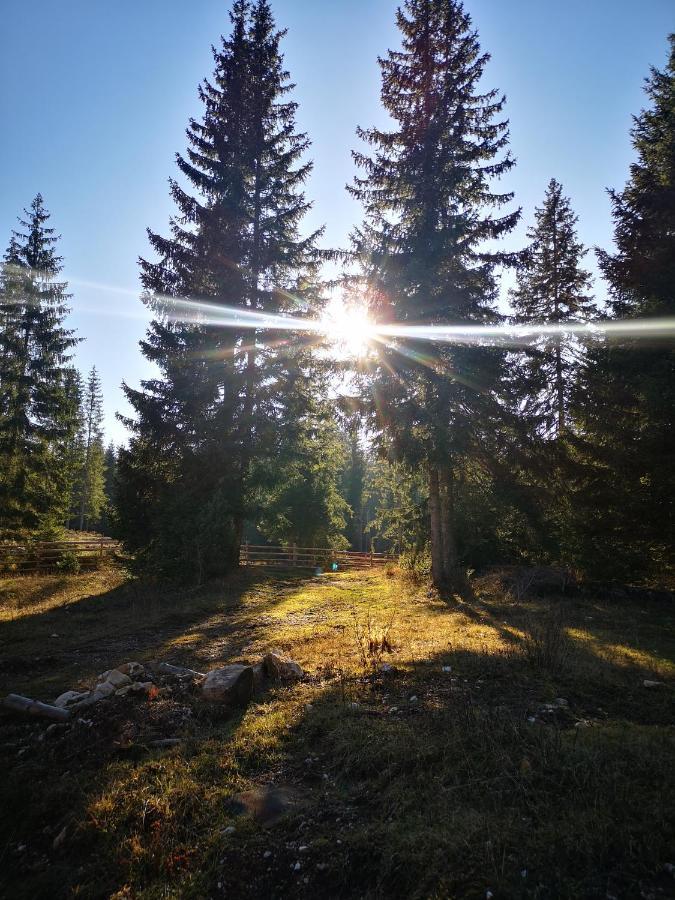 Snowhite Jahorina Villa ภายนอก รูปภาพ