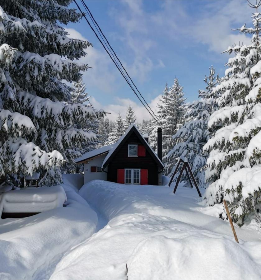 Snowhite Jahorina Villa ภายนอก รูปภาพ