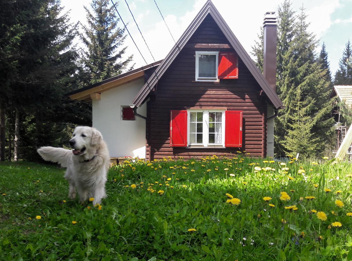Snowhite Jahorina Villa ภายนอก รูปภาพ